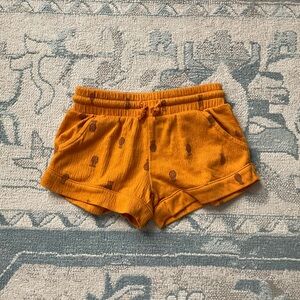 Like New Carter’s Pineapple Shorts